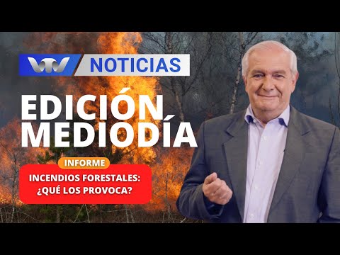 Edición Mediodía 29/01 |  Incendios forestales: ¿qué los provoca?