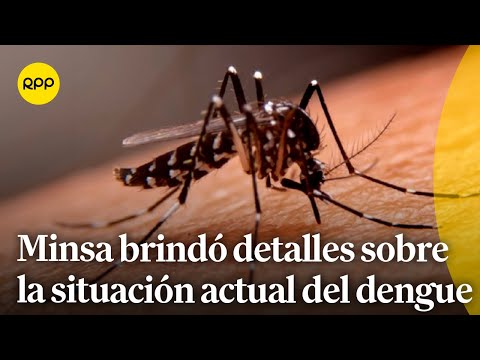 El Minsa brindó detalles sobre los casos de dengue en el país