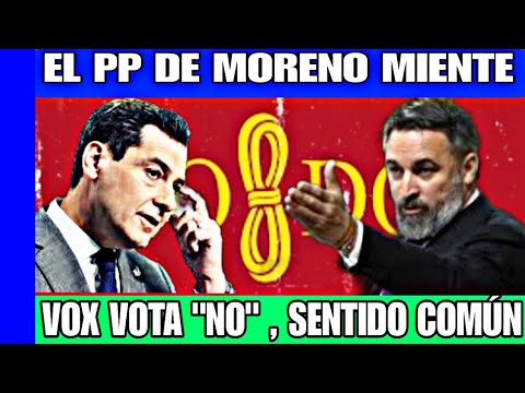 EL PP MIENTE, VOX VOTA NO· CONTRA EL ALCALDE DE SEVILLA, NO AL PP, SON UNOS DESAGREDECIDOS