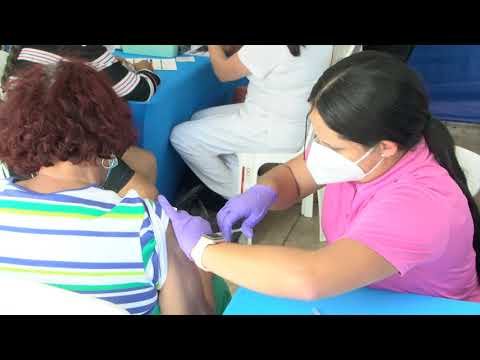 Cientos acuden a vacunarse en Coamo tras anuncio de incentivo de $100