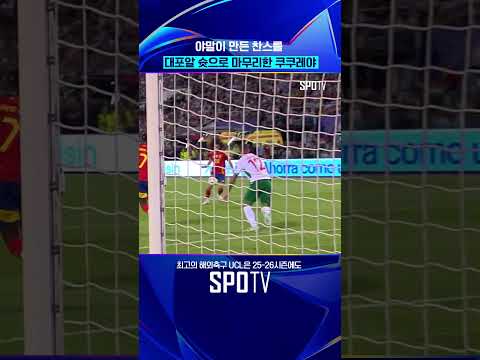 축구장에 대포 반입 되나여? 