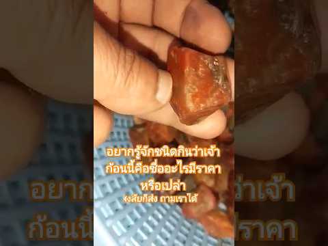 ช่องรายการเราตอบแต่ปัณหาของหิน