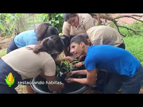 agricultura_Temporada 2025_PROG#02