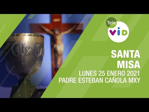 Misa de hoy ? Lunes 25 de Enero de 2021, Padre Esteban Cañola MXY - Tele VID
