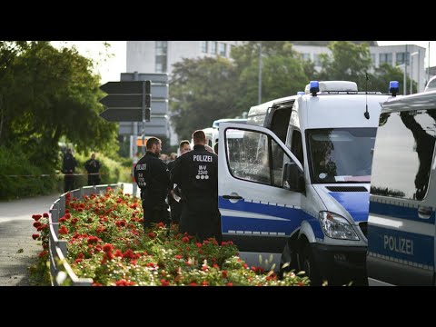 En Allemagne, des policiers blessés en marge d'un congrès du parti d'extrême droite AfD • FRANCE 24
