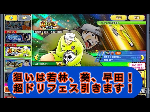 終了間際のガチャ突撃！若林、葵、早田狙って超ドリームフェス引きます！