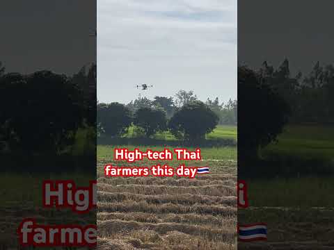 HightechThaifarmersrisbönd