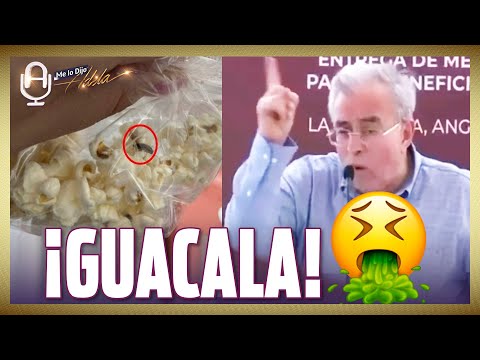 PLAGA de CUCARACHAS en el SENADO; GOBERNADOR de SINALOA enfurece con la PRENSA