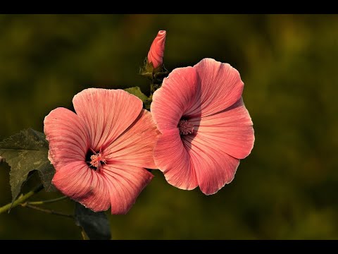 Reflexión desde el Evangelio de hoy con un texto de Juan de la Cruz - Jueves 04 de julio de 2024