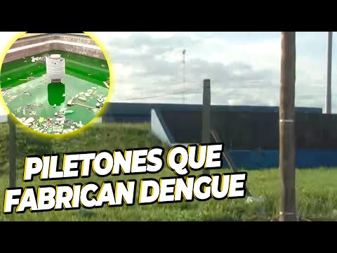 FÁBRICA DE DENGUE en José C. Paz: mosquitos atacaron al móvil de POCO CORRECTOS durante toda la nota