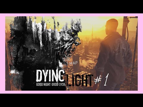 DYINGLIGHTฉีดยาด้านไปหาไฟล์ล