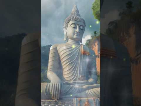 ปล่อยวางคำคมBuddhaคติธรรมธ