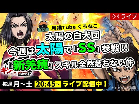 【キングダム頂天】『新羌瘣』事件レベルで金スキルが落ちない件（今週は太陽の白犬団でSS挑戦）8/25配信