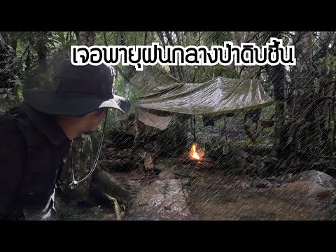 เข้าป่าตามหาน้องที่หายไปในป่าด