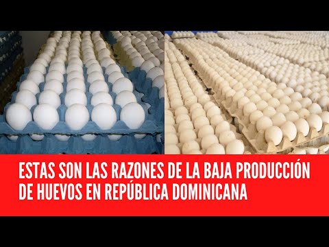 ESTAS SON LAS RAZONES DE LA BAJA PRODUCCIÓN DE HUEVOS EN REPÚBLICA DOMINICANA