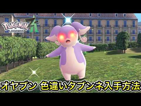 【ポケモンZA】オヤブンの色違いタブンネ入手方法！