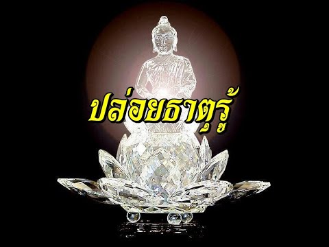 ปล่อยธาตุรู้-จิตที่พ้นทุกข์ ปล่อยธาตุรู้-จิตที่พ้นทุกข์