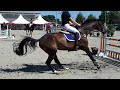 Show jumping horse Wangari Lilly O'  nr 27 BWP Online Foal auction