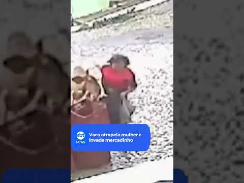 Flagra: Vaca atropela mulher em mercadinho