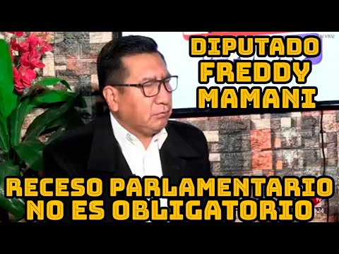 DIPUTADO FREDDY MAMANI ACLARA PRESIDENTE ARCE NO PUEDE PEDIR PRESTAMOS SIN APROBACIÓN DE ASAMBLEA..