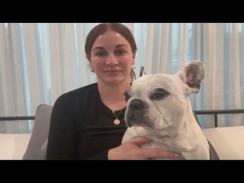 Resident Mistakes Screaming French Bulldog for Neighbor