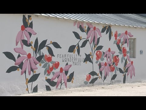 'The wall was just so ugly' | Non-profit fighting to keep mural in Fredericksburg