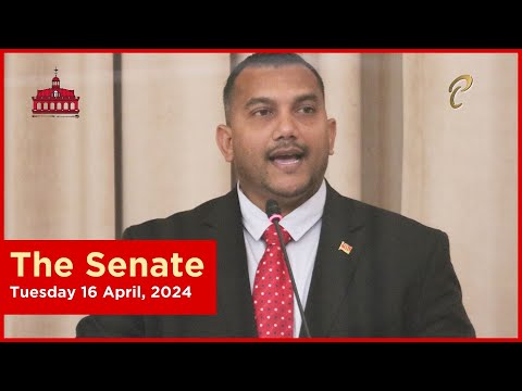 15th Sitting of the Senate - 4th Session - 12th Parliament - March 26, 2024