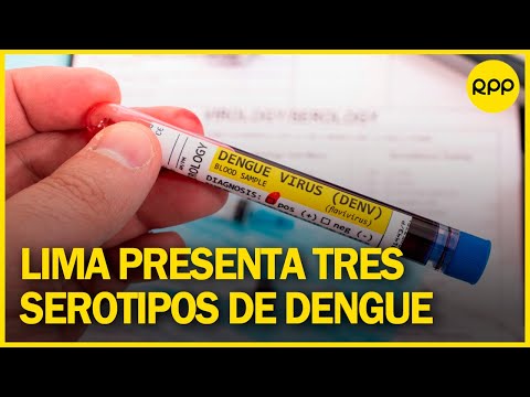INS advierte que Lima presenta tres clases de dengue