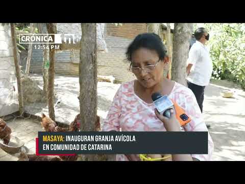 Inauguran granja avícola en una comunidad de Catarina - Nicaragua