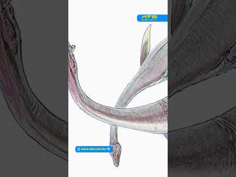 Paleontólogos encontraron lo que se podría llamar Dragon de China