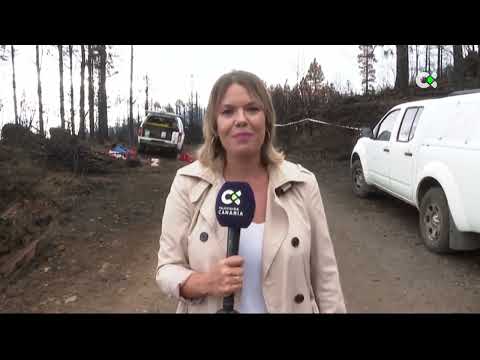 El monte de Tenerife un mes después del incendio