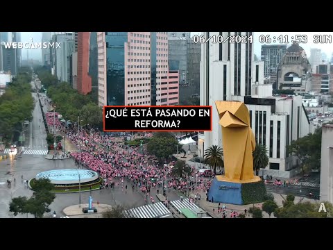 #CDMX | ¿Quiénes son y por qué viste de rosa? Paseo de la Reforma #EnVivo