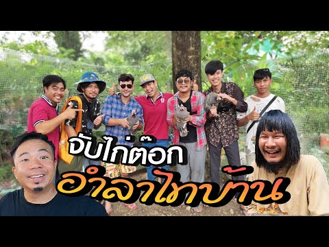 ไทบ้านอำลาเมืองกรุง!...จับไก่ส ไทบ้านอำลาเมืองกรุง!...จับไก่ส