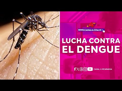 MINSA intensifica lucha contra el dengue en el barrio René Polanco de Managua