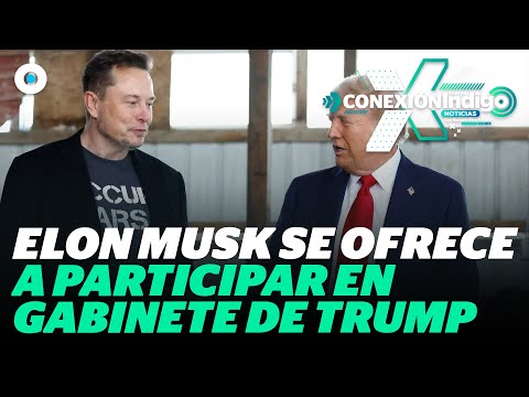 Donald Trump quiere a Elon Musk en su gabinete presidencial