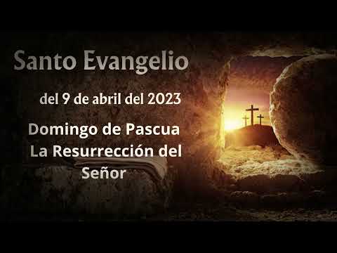 Evangelio del 9 de abril del 2023 :: Relato de la Resurrección de Jesús