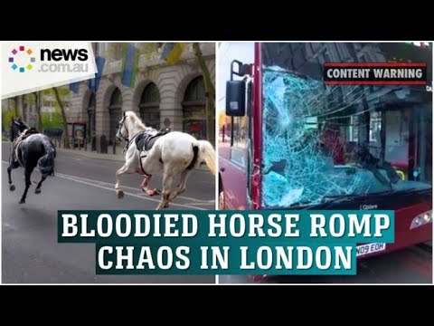 Chaos as blood-soaked army horses break free in London, injuring at least 5 people