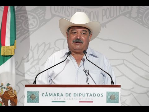 EN VIVO Conferencia del diputado Eraclio Rodríguez Gómez (PT)