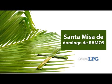 Santa Misa de domingo de Ramos