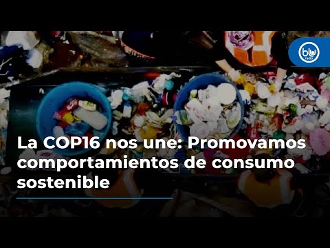 La COP16 nos une: Promovamos comportamientos de consumo sostenible