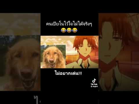 คนเล่นเปียโนไว้ใจไม่ได้อายาโน