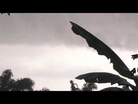 nature-sound-rainforest-sound- nature-sound-rainforest-sound-