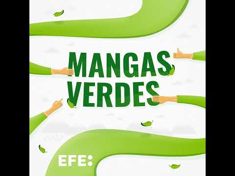 Mangas Verdes | Escuchamos las voces verdes