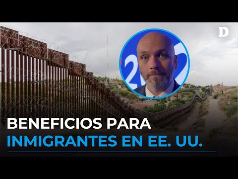 Inmigración: ¿Qué proponen Trump y Harris para el futuro de los Indocumentados? | El Diario