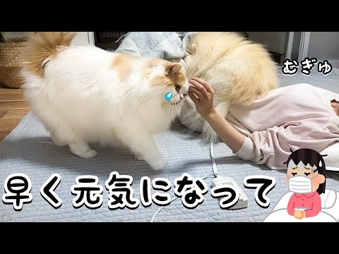 体調の悪い飼い主を献身的に支える猫と犬が可愛すぎました！