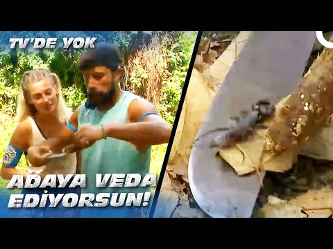 YASİN AKREP YAKALADI! | Survivor All Star 2022 - 63. Bölüm