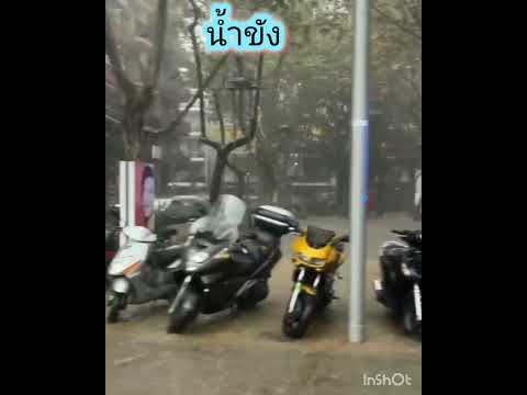 ฝนตกพยากรณ์อากาศ