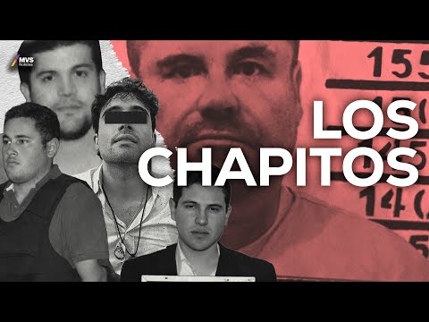 LOS CHAPITOS: Una RADIOGRAFÍA a la herencia criminal por José Luis Montenegro