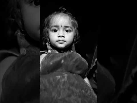 പാലക്കാടൻ കാറ്റ്