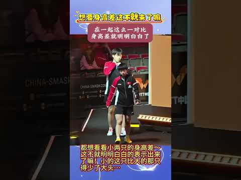 #孙颖莎 #王楚钦 的最萌身高差